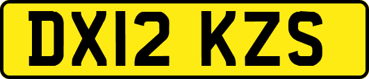 DX12KZS