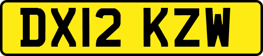 DX12KZW