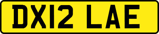 DX12LAE