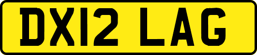 DX12LAG