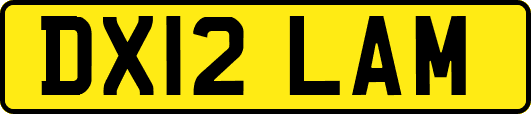 DX12LAM