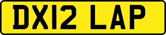 DX12LAP