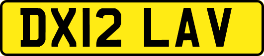 DX12LAV
