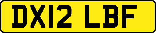 DX12LBF