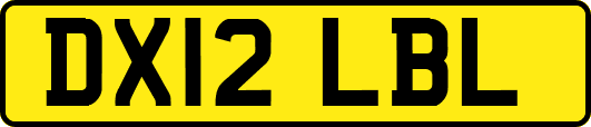 DX12LBL