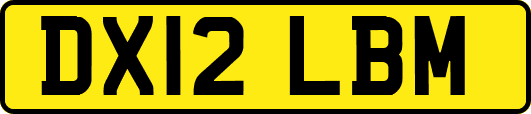 DX12LBM