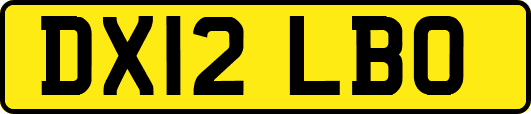 DX12LBO