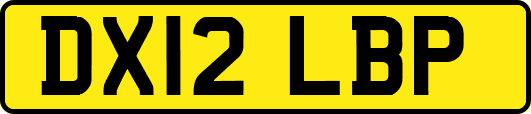 DX12LBP