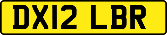 DX12LBR