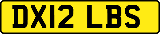 DX12LBS