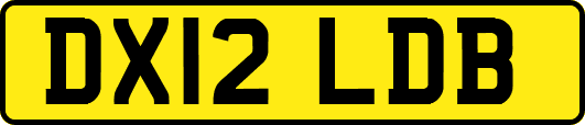 DX12LDB