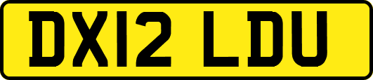 DX12LDU