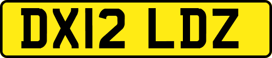 DX12LDZ