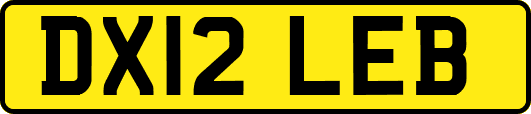 DX12LEB