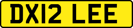 DX12LEE