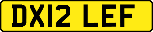 DX12LEF