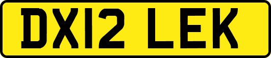 DX12LEK