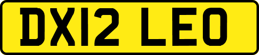 DX12LEO