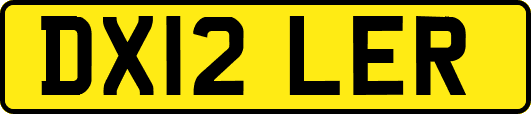 DX12LER