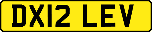 DX12LEV