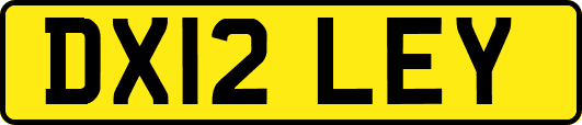 DX12LEY