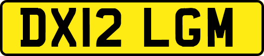 DX12LGM