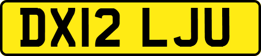 DX12LJU