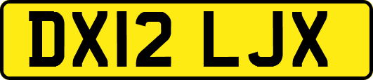 DX12LJX