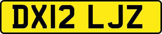 DX12LJZ