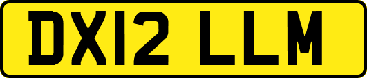 DX12LLM