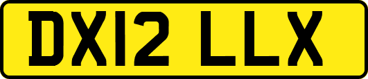 DX12LLX