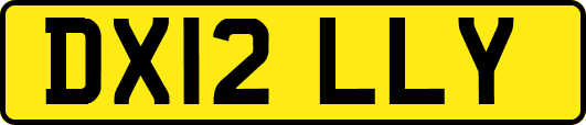 DX12LLY