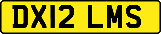DX12LMS