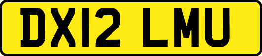 DX12LMU