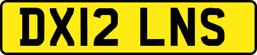 DX12LNS