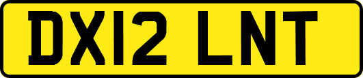 DX12LNT