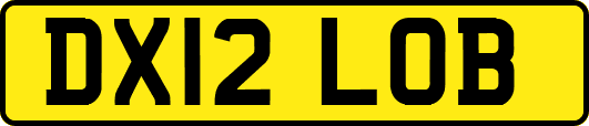DX12LOB
