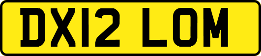 DX12LOM