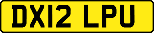 DX12LPU