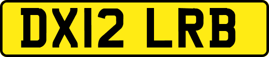 DX12LRB