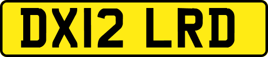 DX12LRD