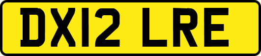DX12LRE