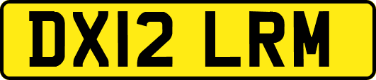 DX12LRM