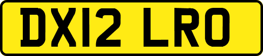 DX12LRO