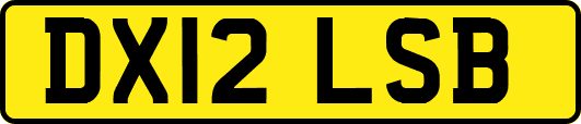 DX12LSB