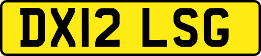 DX12LSG