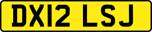 DX12LSJ