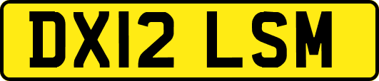 DX12LSM