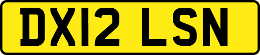 DX12LSN