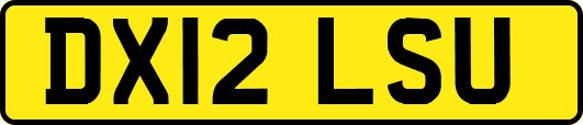 DX12LSU
